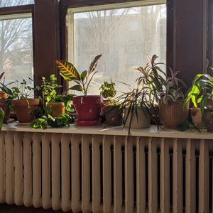 Meet your Posher, Carly